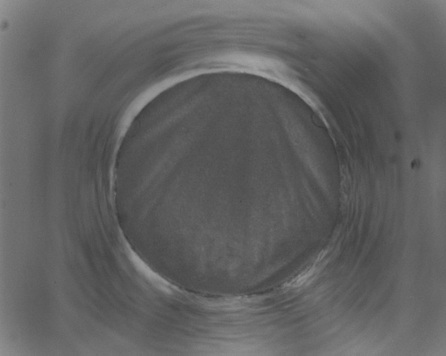 X0000067901535200604271840