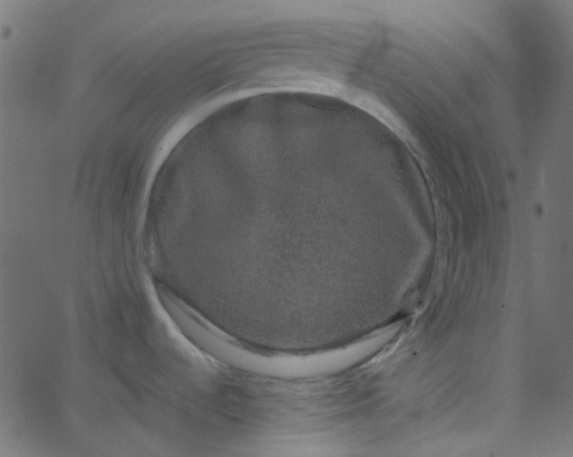 X0000067901536200604271840