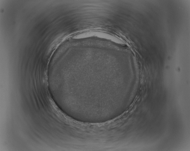 X0000067900002200605041629