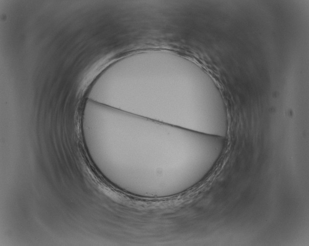 X0000067900005200605041629