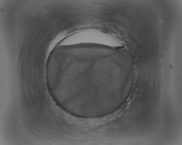 X0000067900006200605041629