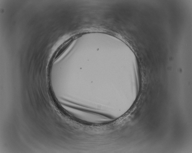 X0000067900008200605041629