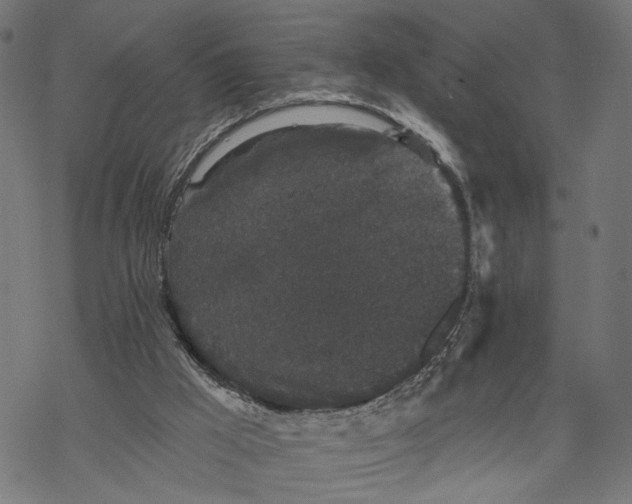 X0000067900009200605041629