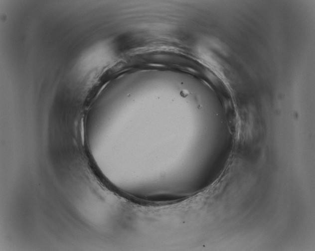 X0000067900013200605041629