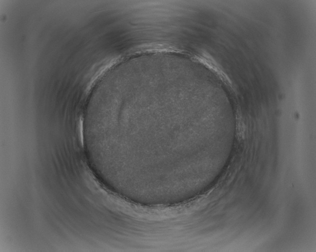 X0000067900014200605041629