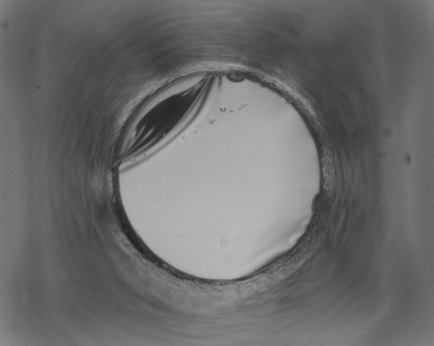 X0000067900015200605041629