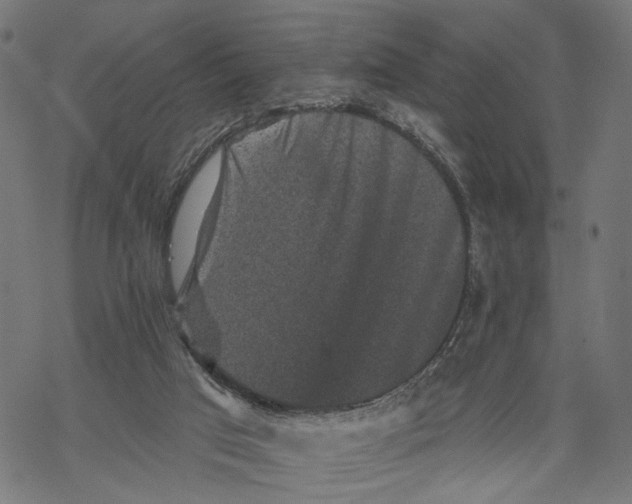 X0000067900017200605041629