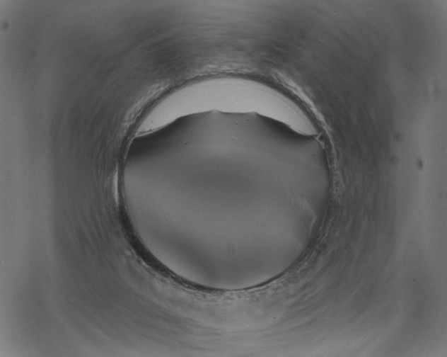 X0000067900019200605041629