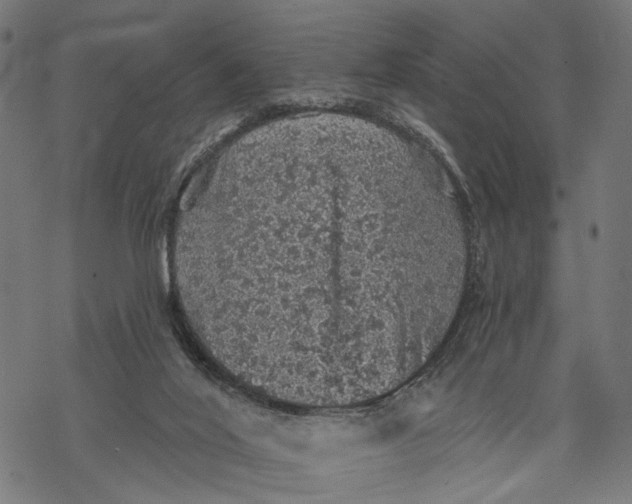 X0000067900020200605041629