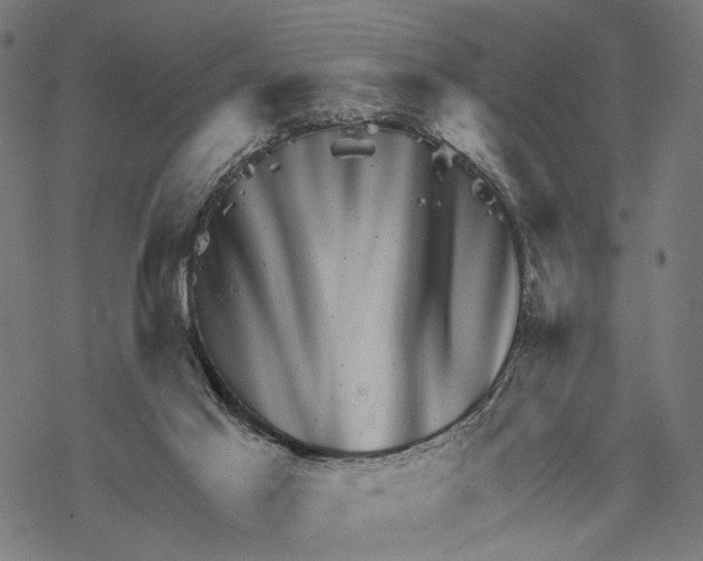 X0000067900021200605041629