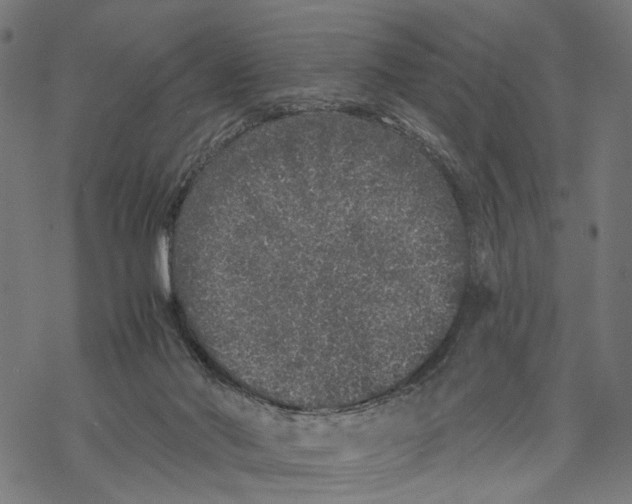 X0000067900022200605041629