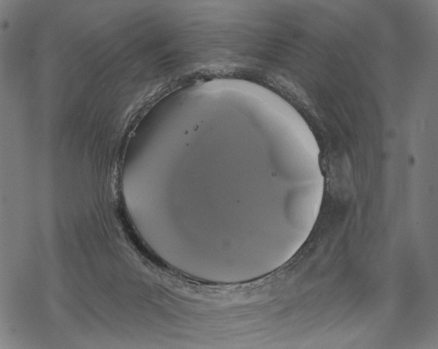 X0000067900023200605041629