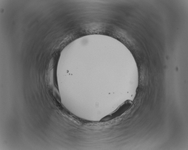 X0000067900025200605041629