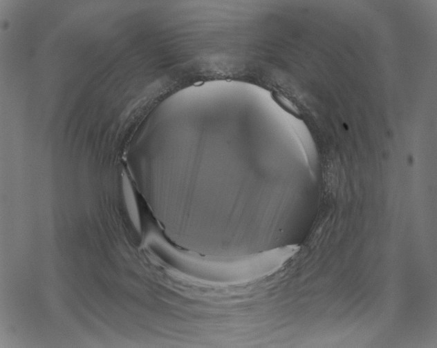 X0000067900027200605041629