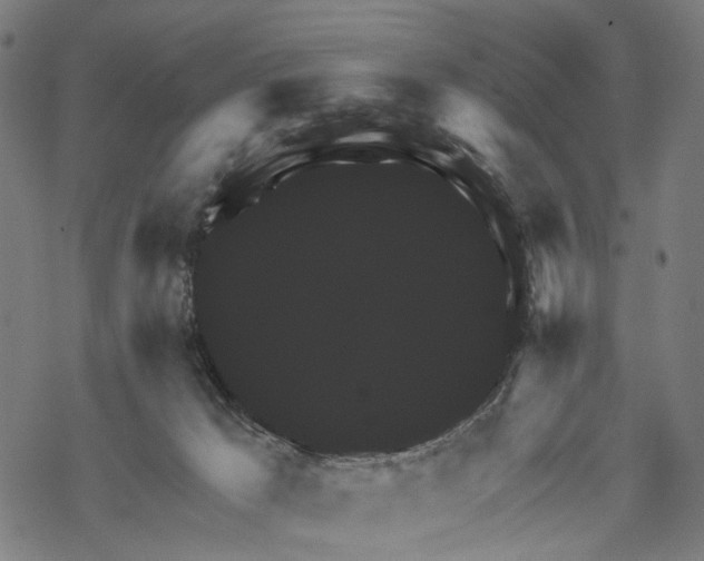 X0000067900029200605041629