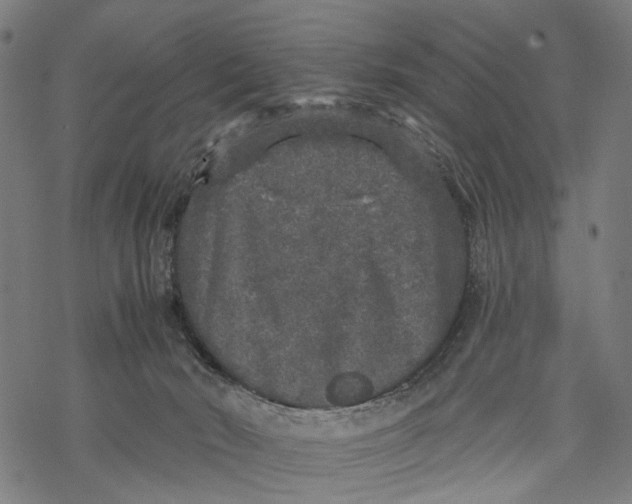 X0000067900030200605041629