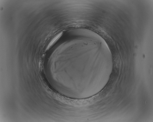 X0000067900031200605041629