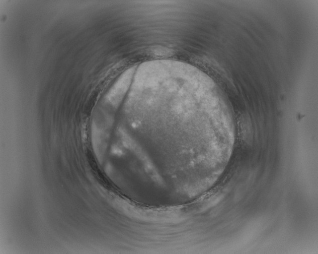 X0000067900032200605041629