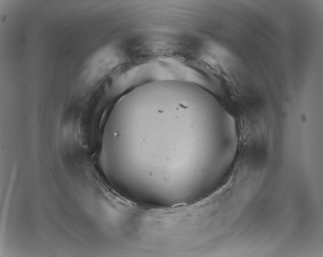 X0000067900033200605041629