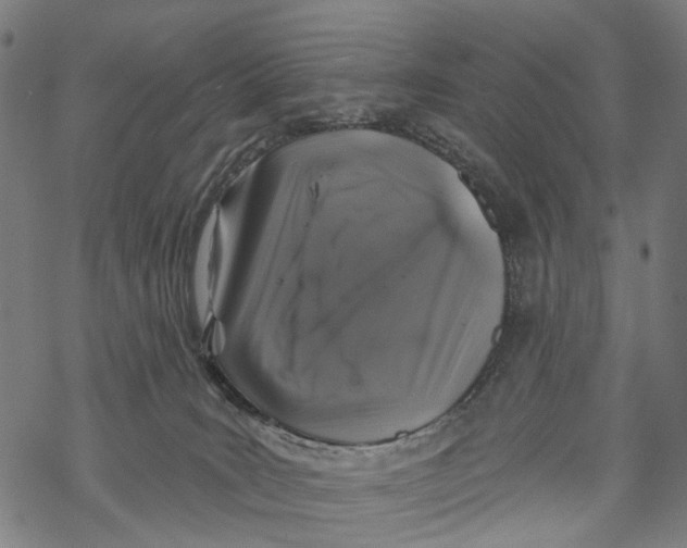 X0000067900035200605041629