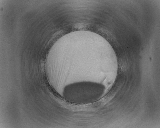 X0000067900036200605041629