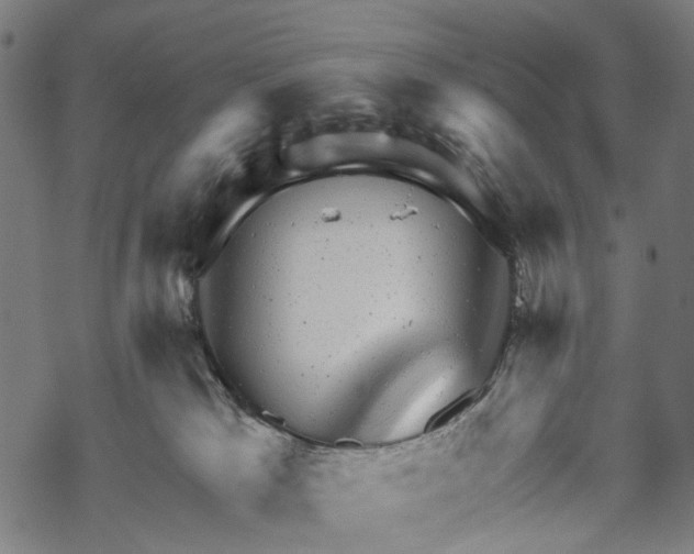 X0000067900037200605041629