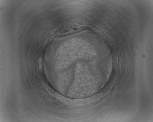 X0000067900038200605041629