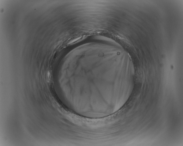 X0000067900039200605041629