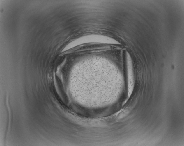 X0000067900040200605041629