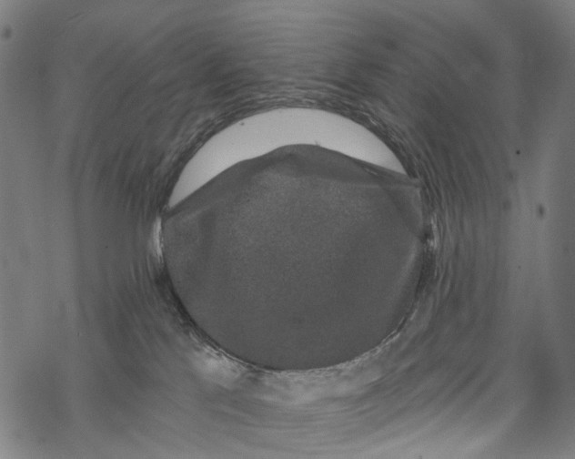 X0000067900041200605041629