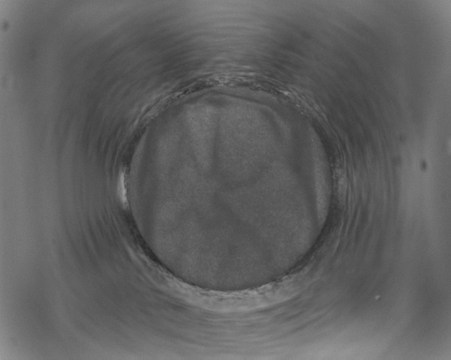 X0000067900042200605041629