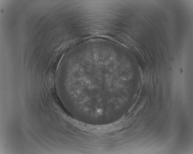 X0000067900043200605041629