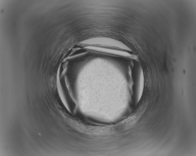 X0000067900044200605041629