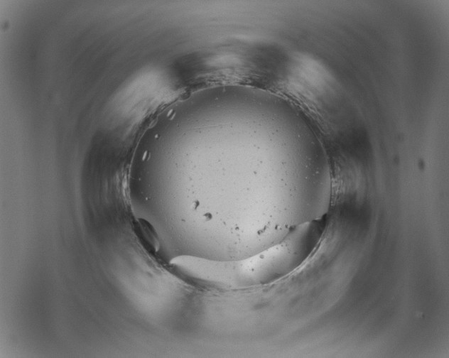 X0000067900045200605041629