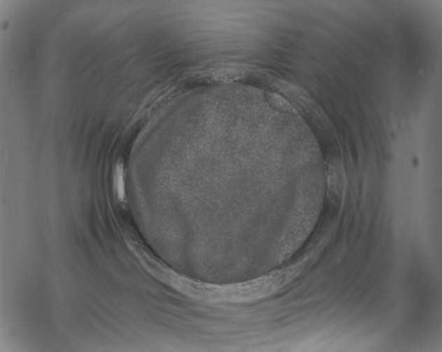 X0000067900046200605041629