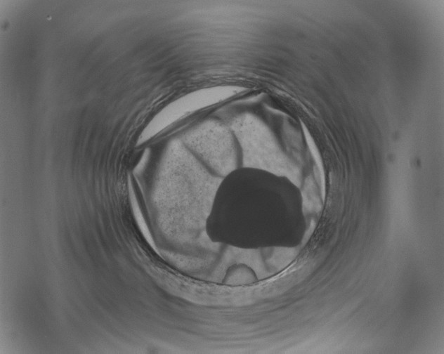 X0000067900048200605041629