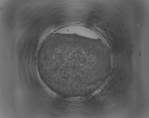 X0000067900049200605041628