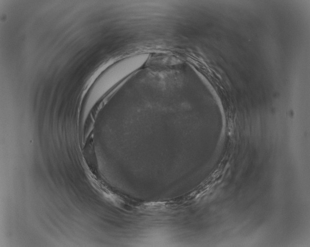 X0000067900052200605041628