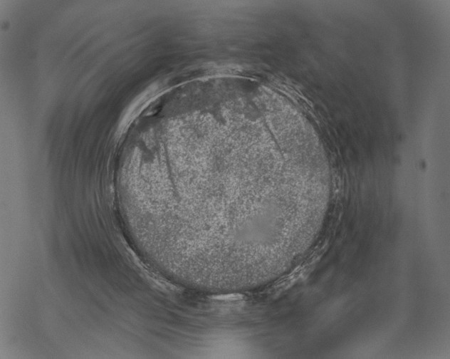 X0000067900053200605041628