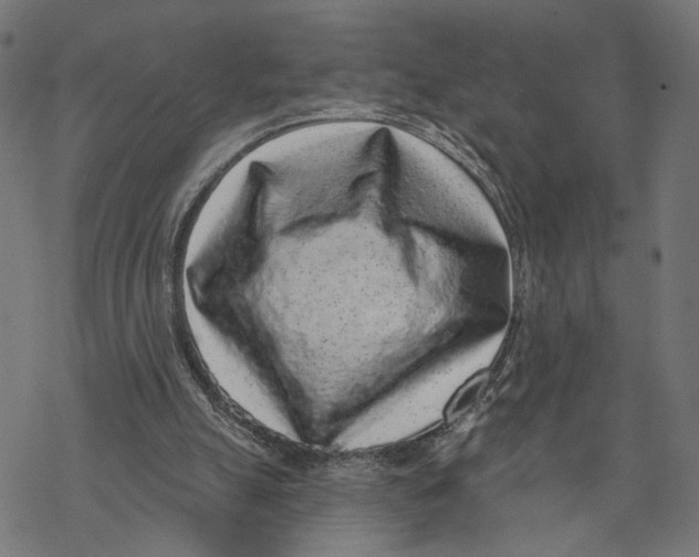 X0000067900055200605041628