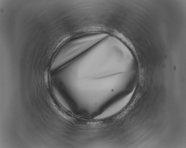 X0000067900057200605041628