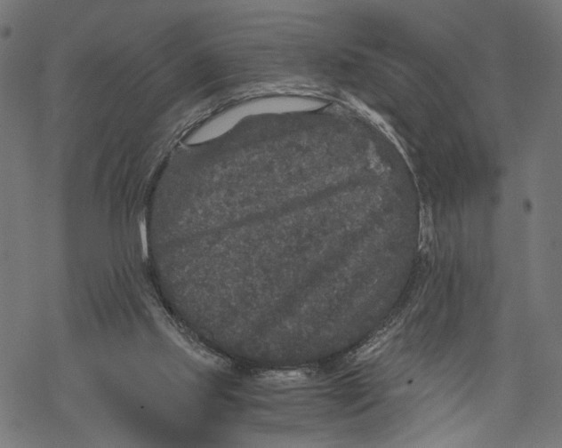 X0000067900061200605041628