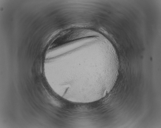 X0000067900062200605041628