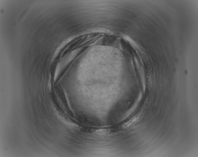 X0000067900064200605041628