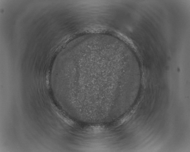 X0000067900065200605041628