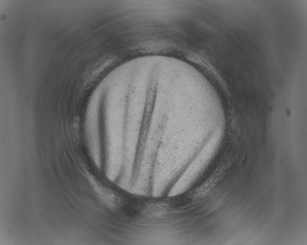 X0000067900066200605041628