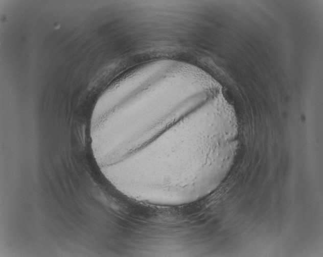 X0000067900070200605041628