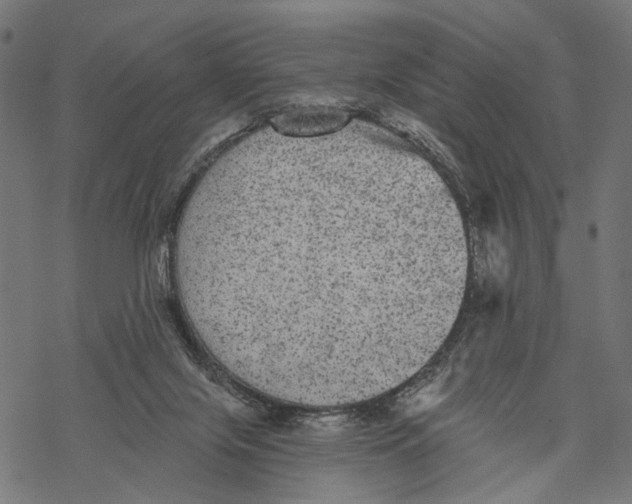 X0000067900071200605041628