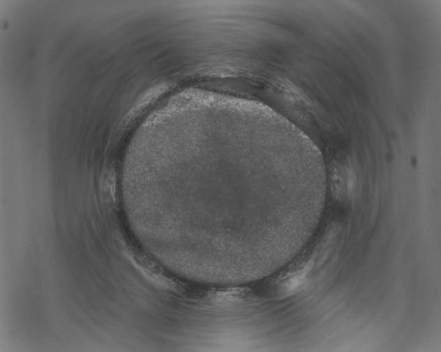 X0000067900072200605041628