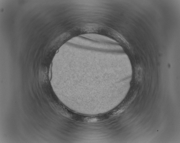 X0000067900073200605041628